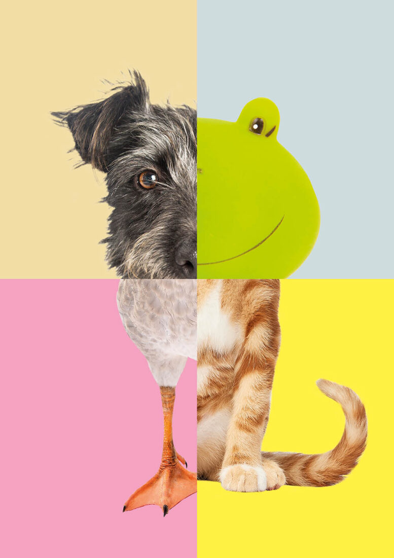 plakate image def nur bild klein8